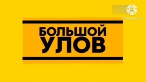 Две рекламы с без рекламным лого Магнит Петепава и Мака