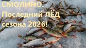 СМОЛИНО. Последний лёд 2026