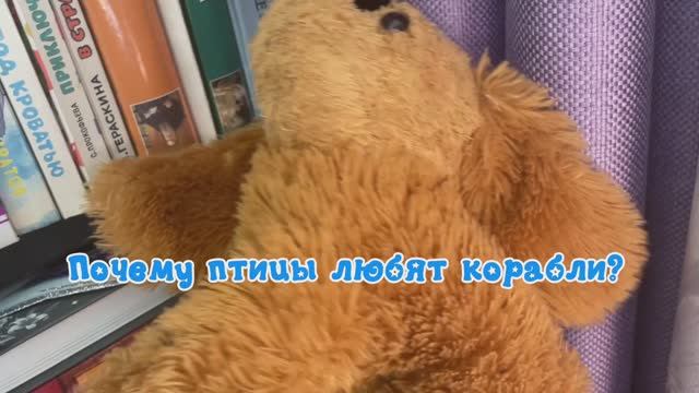 Почему птицы любят корабли? Тима расскажет