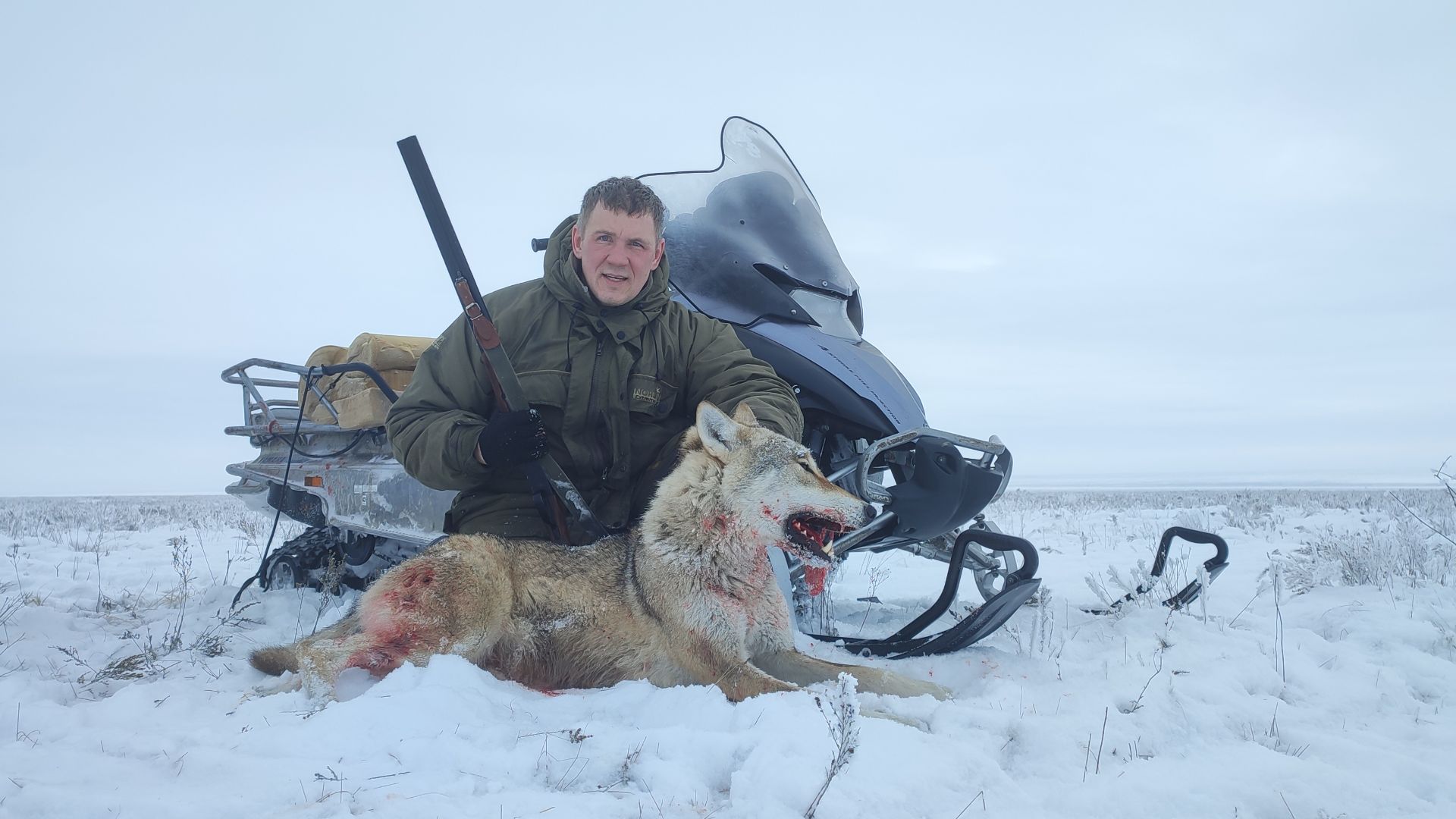 ОХОТА НА ВОЛКОВ! 25 КМ. ПОГОНИ