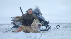 ОХОТА НА ВОЛКОВ! 25 КМ. ПОГОНИ