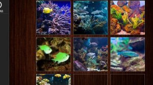 Jigsaw Puzzle Epic 5 Сезон 100 Серия Игра 2026