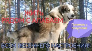 Жить Рядом с АЛАБАЕМ.. Как это?