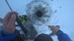 Рыбалка на самоловки и балансир