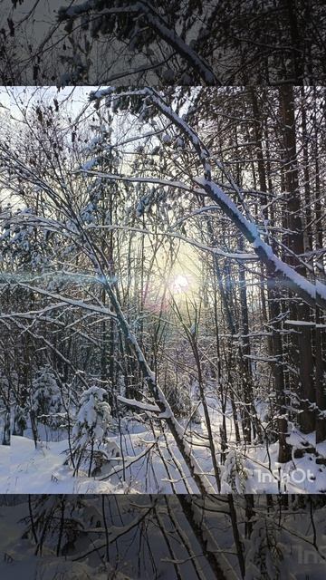 Всегда помни…