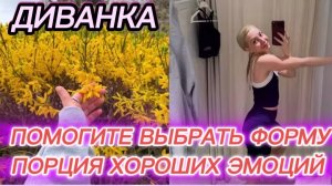 САМВЕЛ АДАМЯН, МИСС ВОНГ, ВЫБЕРИТЕ МНЕ ФОРМУ КТО НИБУДЬ, ПОРЦИЯ ХОРОШИХ ЭМОЦИЙ ОТ ГОРОДА..