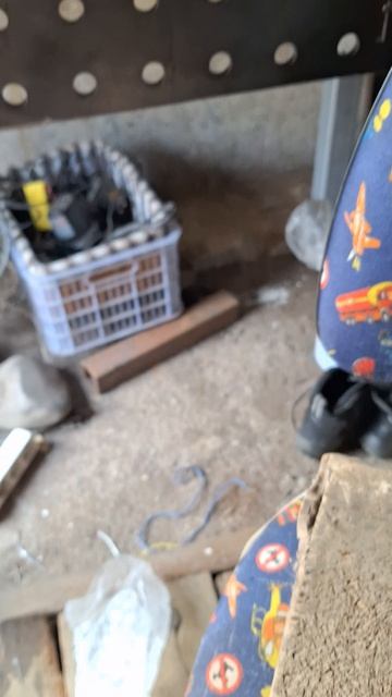 Китайский неллер.