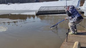 поимка форели