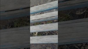 Странное место 2!!