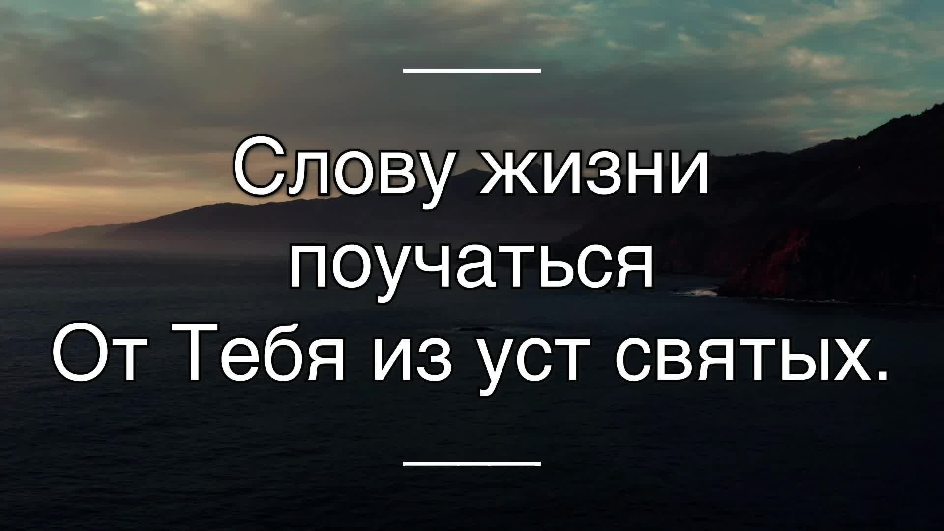 Тень грядущего Спасителя | Алексей Остапенко | 1.31.2026