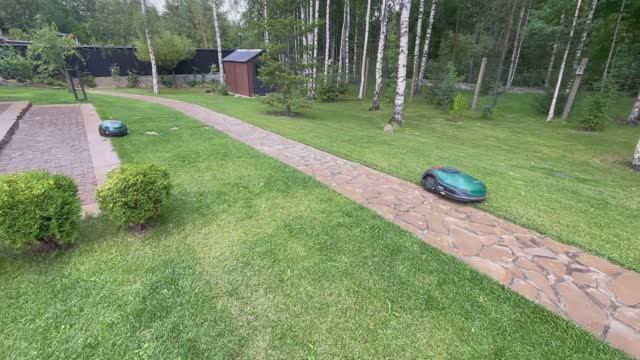 Газон и роботы. The Light Side of the Lawn