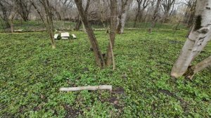 27,28 марта 2026г.Продолжаю огораживать огород.Красота в лесу))