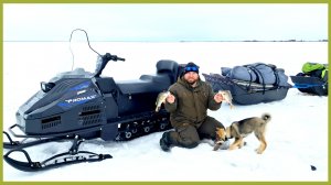 Волчок и первая рыбалка в этом году