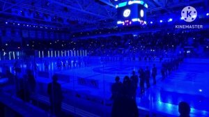 Распикировала томаты. На хоккее. Снег на месте. 26-28 марта 2026