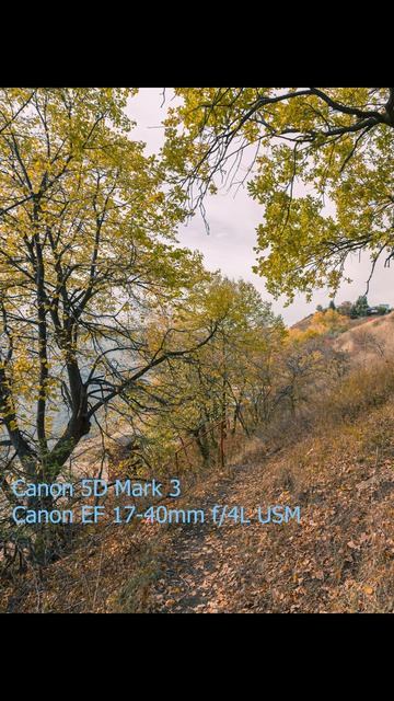 Canon EF 17-40mm f/4 L USM и осенние снимки #canon #canon5dmarkiii #widelens #zoomlens #zoom #luxury