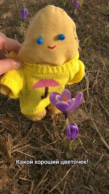 Пухляш нашёл первые цветочки