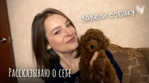 Познакомимся?! Изменения на канале| У нас появился малыш! Первые недели со щенком🐶