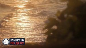 DM сообщила о возможном переезде британской принцессы в США