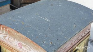 Первая пыльца.