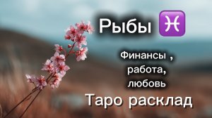 РЫБЫ‼️23 марта -5 апреля ТАРО расклад 💕три сферы