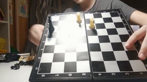 топ-2 мата в шахматах