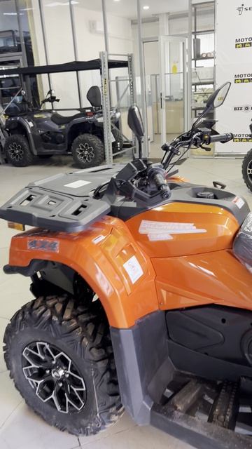 Новое поступление Bizon 450