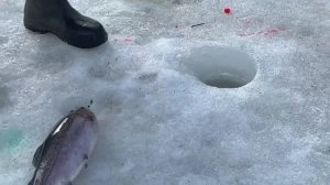 28.03.26 г. РК Волна.