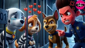 Щенячий патруль и Маршалл. Залипательное видео. Мультфильм для детей и малышей. Анимация 429