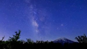 Deep Forest - Night Bird