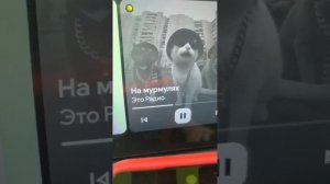 АНДРЕЙКА КРАСНОЯРСК ЕДЕТ К МИЛЛИОНУ, ВОООТ 😄