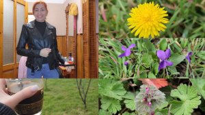 Товары из светофора. Природа просыпается. Вредная дочь. #семьяизмариуполя.