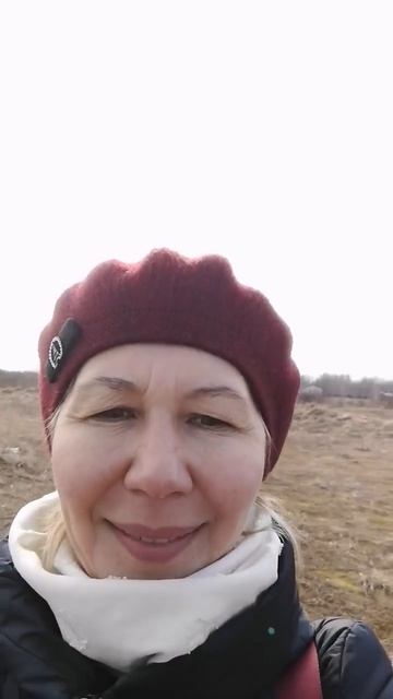 Продажа земельного участка д. Желкун Новгородский район Новгородская область