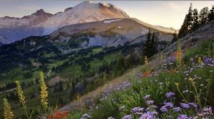 Я восхищаюсь Твоею любовью! Елена Петрова