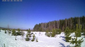 закрытие лыжного сезона 2026.03.26