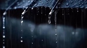 Миллион алых роз Продолжение истории