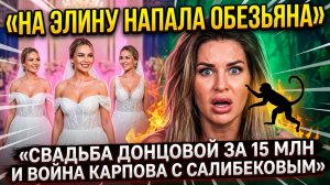 Дом 2, 28.03.2026: обезьяна против Элины, свадьба Донцовой за 15 млн и ответ Карпова Тепловодской