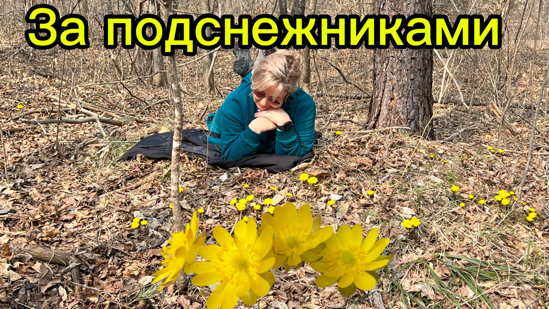 Лес просыпается/За подснежниками/Птичьи трели/Весна