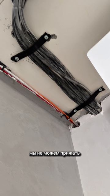 copy_9D5B85A2-3EAD-49B6-8A8F-73E65828272B