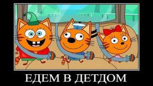 13 минут ржаки три кота а бобус 🖼️