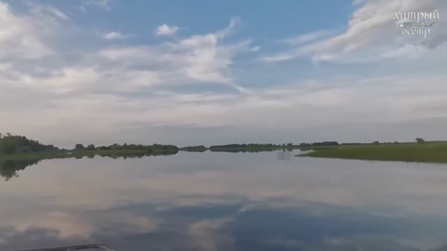 РЫБАЛКА СЕТЯМИ, ОГРОМНЫЕ КАРАСИ