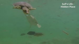 Suffi`s Life - Hidden Place