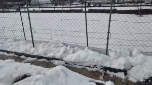 362. Первая обработка от вредителей на огороде.