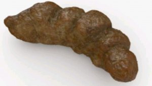 Правда или действие