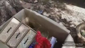 Элла Австралия /3 ДНЯ В ШОКЕ СВАЛКА ВЕКА ТОННА ХРУСТАЛЯАНГЛИЙСКОЙ ПОСУДЫГЛАЗА НА ЛОБ ОТ НАХОДОК