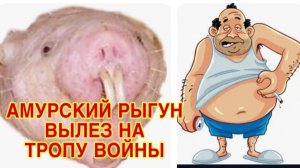 28/3 26 ОБИЖЕННЫЙ И ОСКОРБЛЕННЫЙ КУКОЛД ПЫТАЕТСЯ ЖИЗНИ УЧИТЬ.