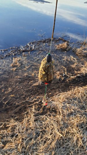 Первый выход на донку весной 2026-го