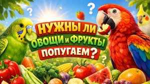 НУЖНЫ ЛИ ФРУКТЫ И ОВОЩИ ПОПУГАЯМ?