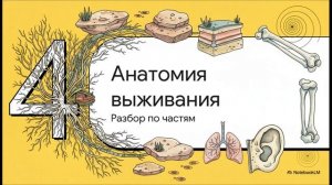 Биология 8 класс параграф 39 Пресмыкающиеся краткий пересказ