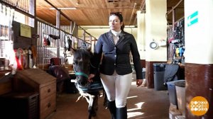 Просто я работаю... кучером! Доброе утро. Суббота. Фрагмент выпуска от 28.03.2026