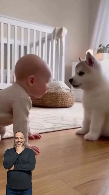 Лучшие друзья💗))